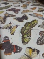 PAPEL MARIPOSAS